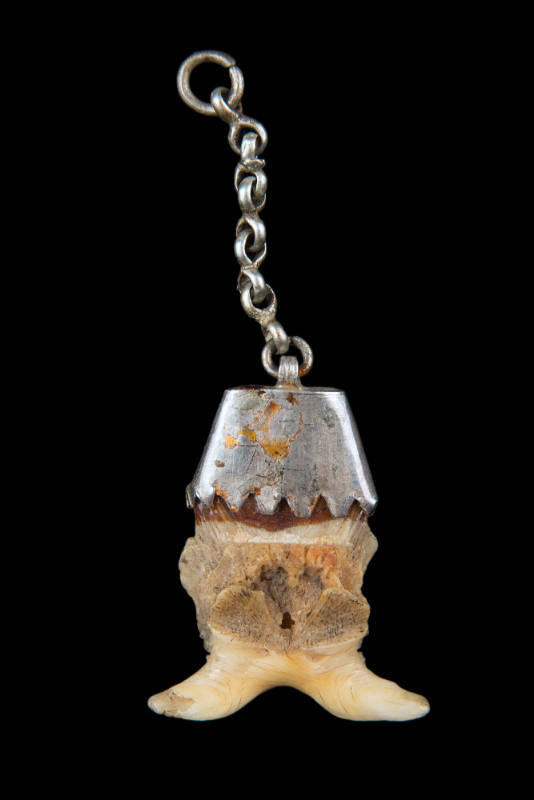 Amulet
