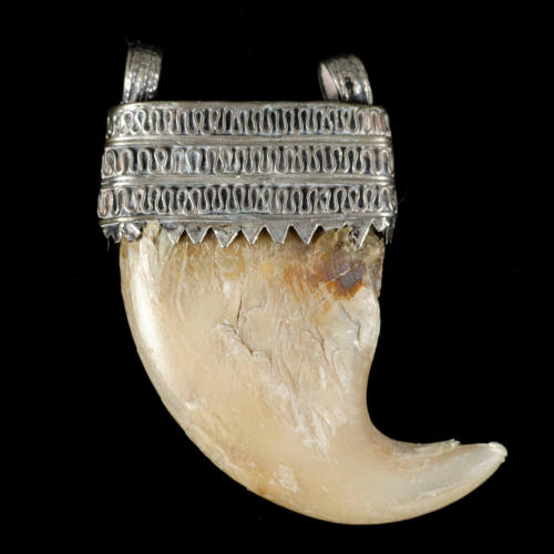 Amulet