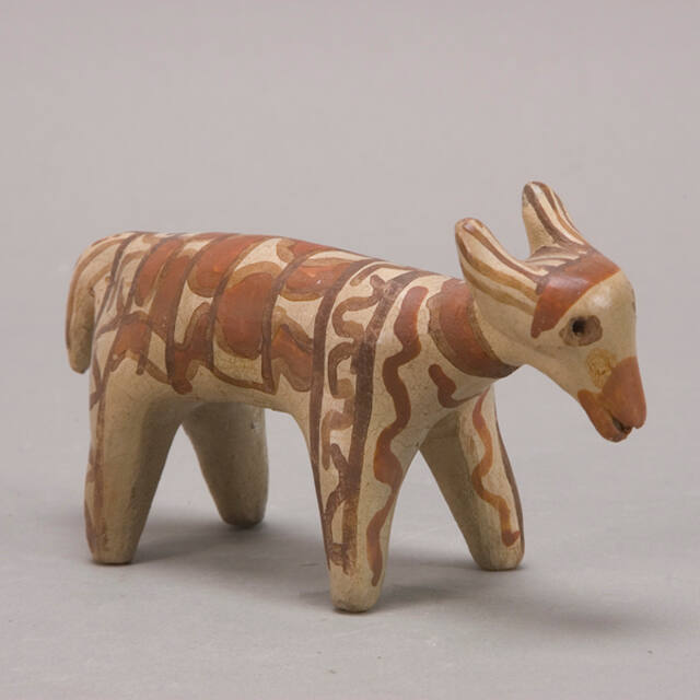 Animal