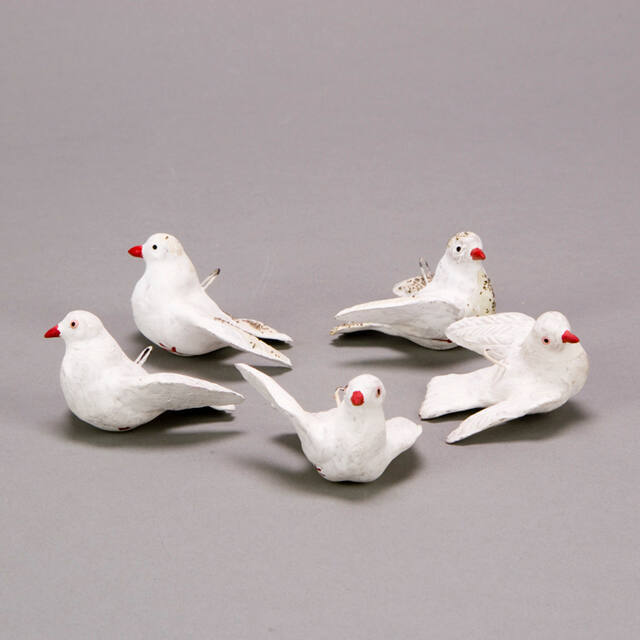 Dove