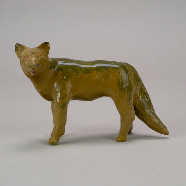 Coyote