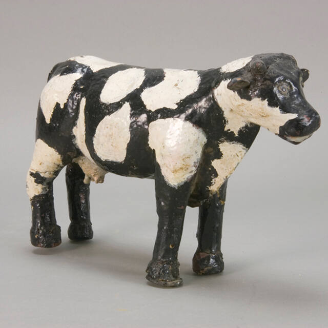 Cow, black with white spots