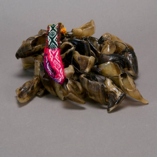 Rattle (Chachas uñas)