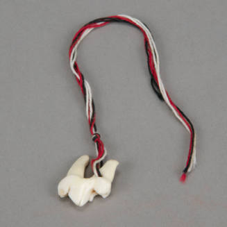 Wolf tooth amulet