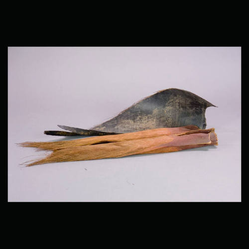 Baleen