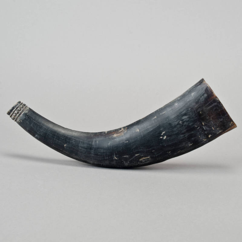 Shaman's Horn