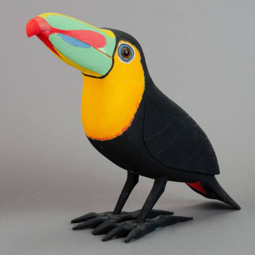 Toucan