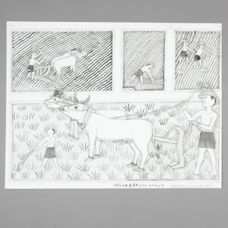 Man plowing rice field (Membajak Sawah)