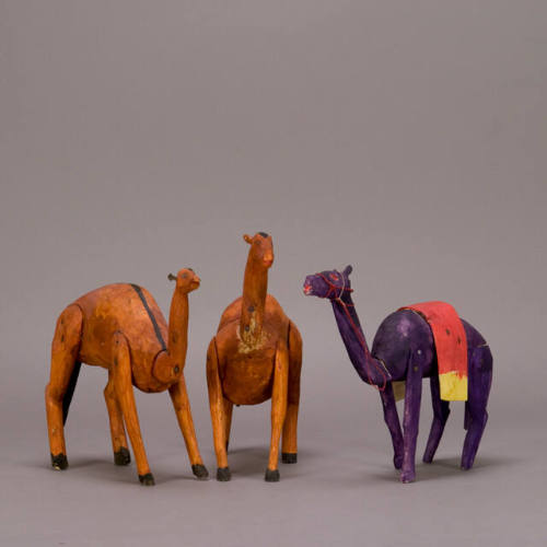 Camels