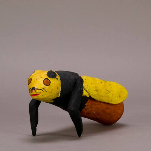 Insect