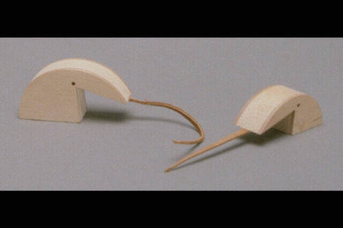 Miniature Wood Anteaters