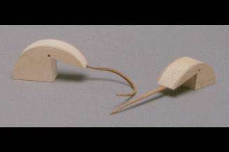 Miniature Wood Anteaters