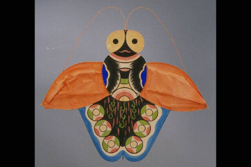 Paper Kite, Insect; Butterfly