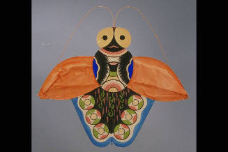 Paper Kite, Insect; Butterfly