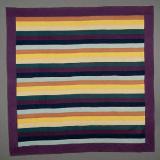 Joseph's Coat with Plain Border Quilt