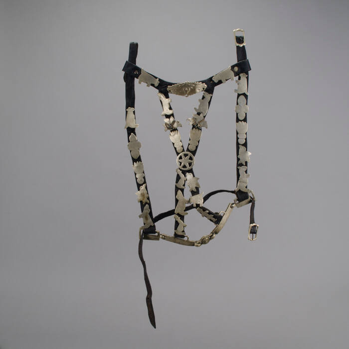 Horse Halter
